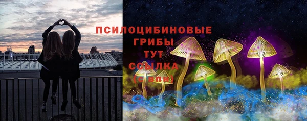 эйфоретик Мегион