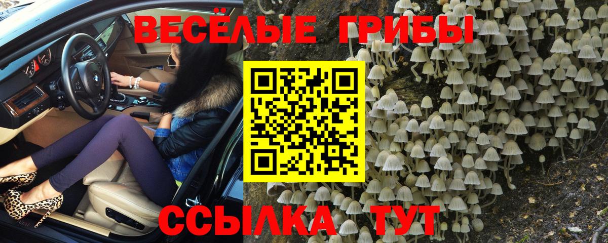Галлюциногенные грибы Magic Shrooms Альметьевск
